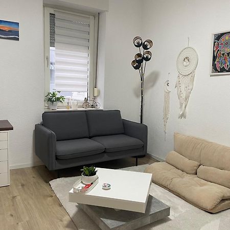 Danisman Apartments 1 Zentral-Smart-Modern ザールブリュッケン エクステリア 写真