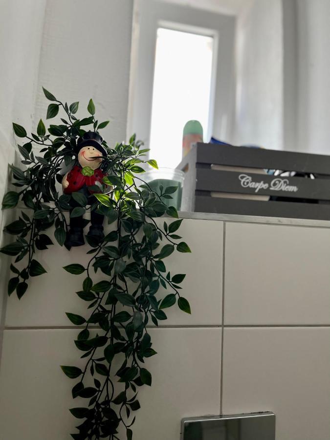 Danisman Apartments 1 Zentral-Smart-Modern ザールブリュッケン エクステリア 写真